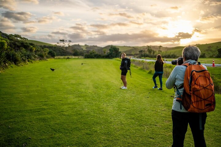 A guided twilight wildlife walk at Tāwharanui