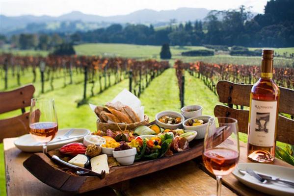 Wine and a seasonal platter overlooking a Matakana vineyard