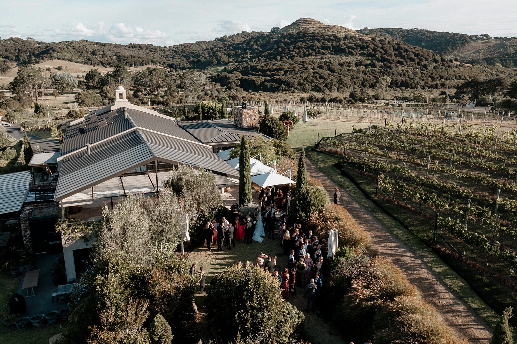 The Estate at Tantalus vineyard on Waiheke Island