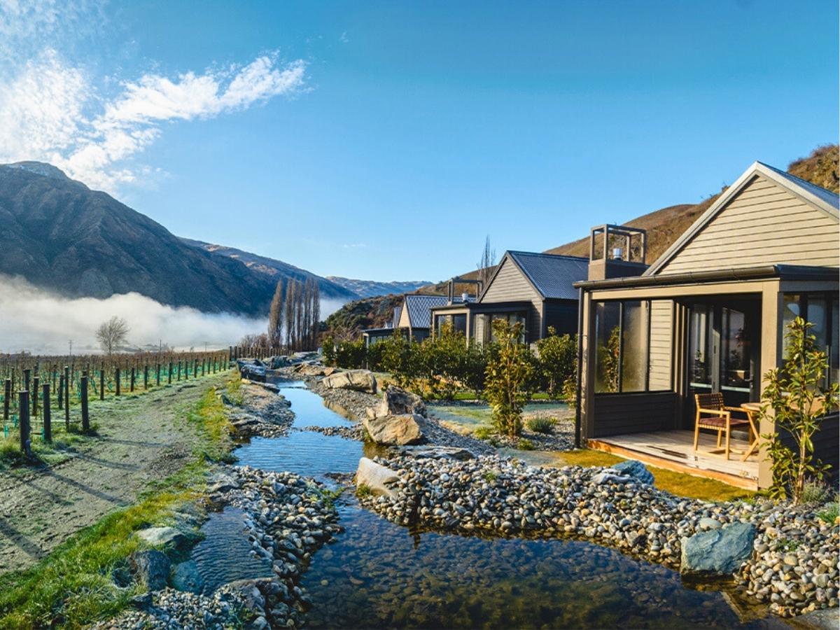 Vineyards in Gibbston Valley near Queenstown