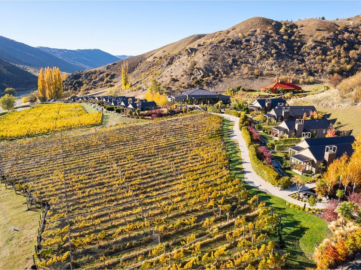 Cellar-door wine experience in Gibbston Valley