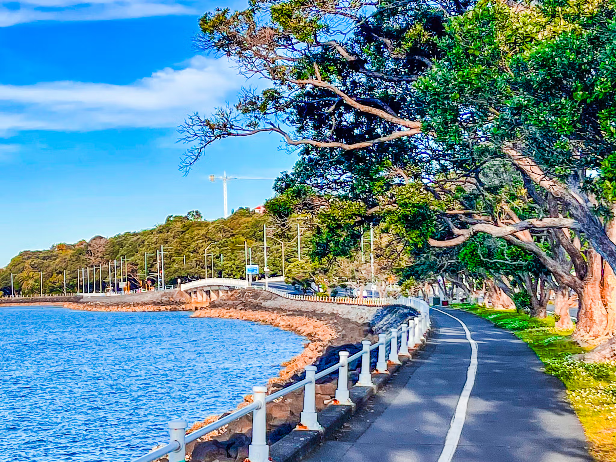 Tāmaki Drive following Auckland's coastline toward Mission Bay