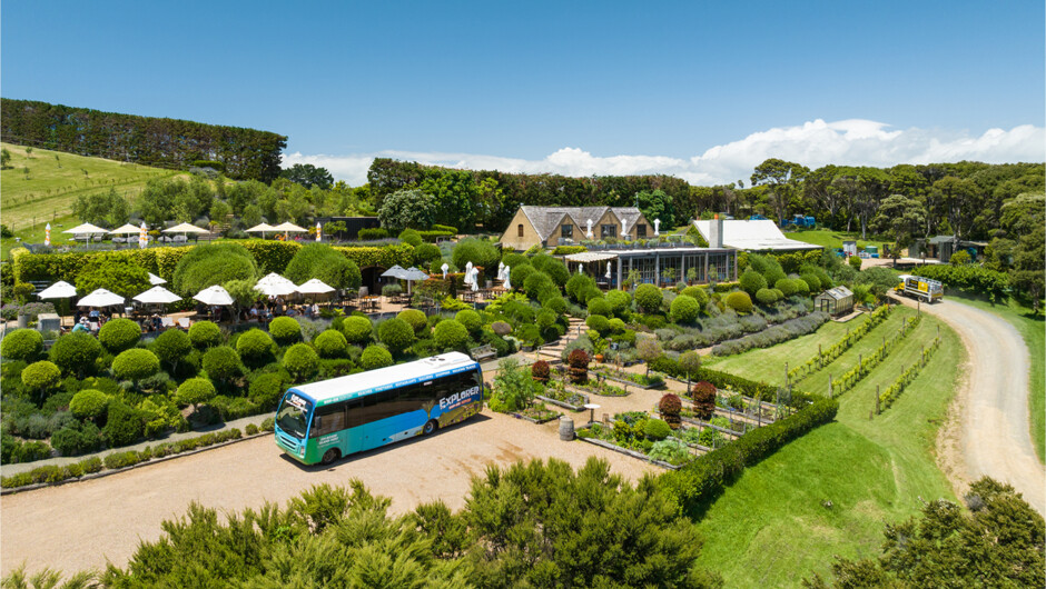 Vineyards and coastal scenery on Waiheke Island
